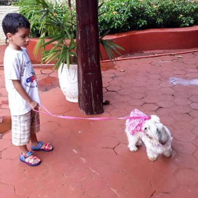 Zooterapia trazida por alunos de Medicina Veterinária